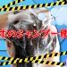 【ラブホのシャンプー使うな】検索クエリに対するHOTEL従業員からの警告